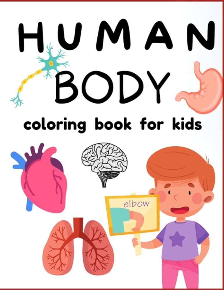 Human body coloring book for kids human anatomy parts colouring pages for girls and boys organ steve c books