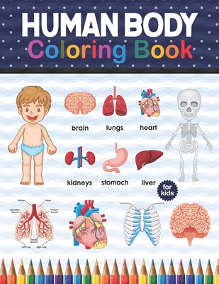 Human body coloring book for kids human body anatomy coloring book for boys and girls and medical students medical anatomy coloring book human brai paperback books inc