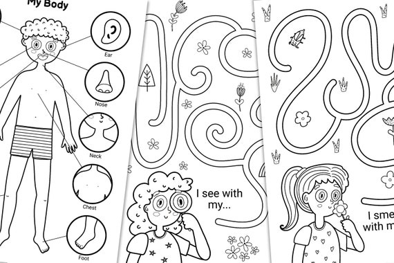 Body parts activity book pdf my body activity pages printable maze puzzle dot to dot for kids crossword body parts learning binder