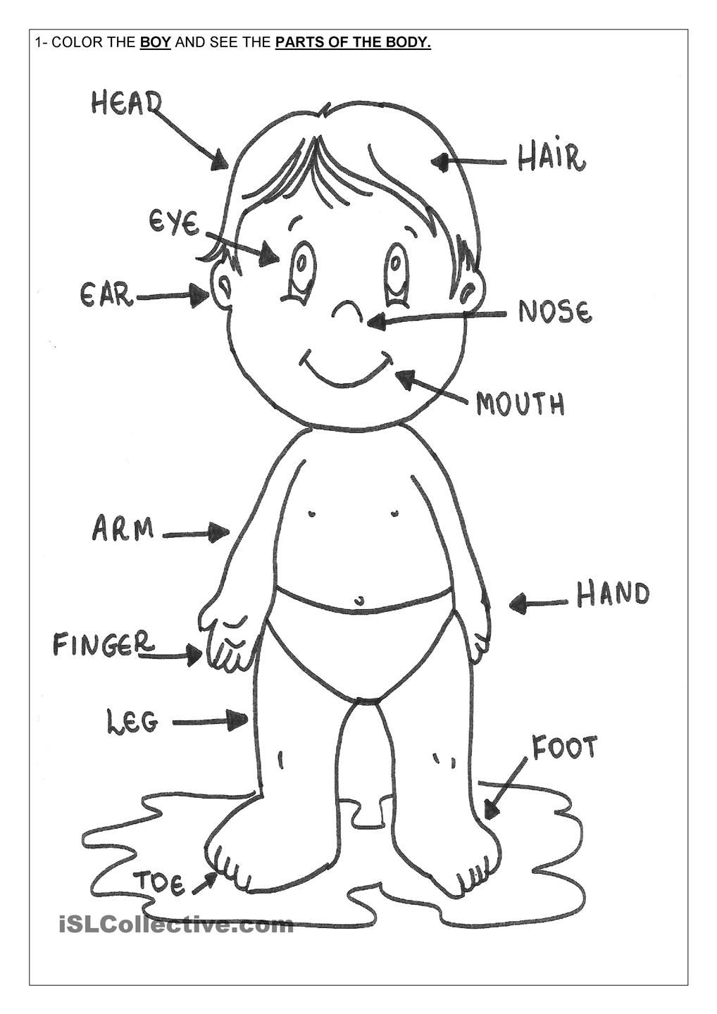 Printable human body coloring page body parts preschool body parts for kids body parts preschool activities
