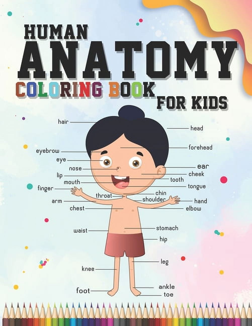 Human anatomy coloring book for kids an entertaining and instructive guide to the human body
