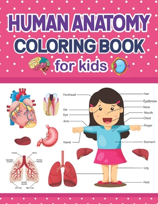 Human anatomy coloring book for kids human body parts and human anatomy coloring book for kids a helpful book and fun way to learn human anatomygre paperback towne book center