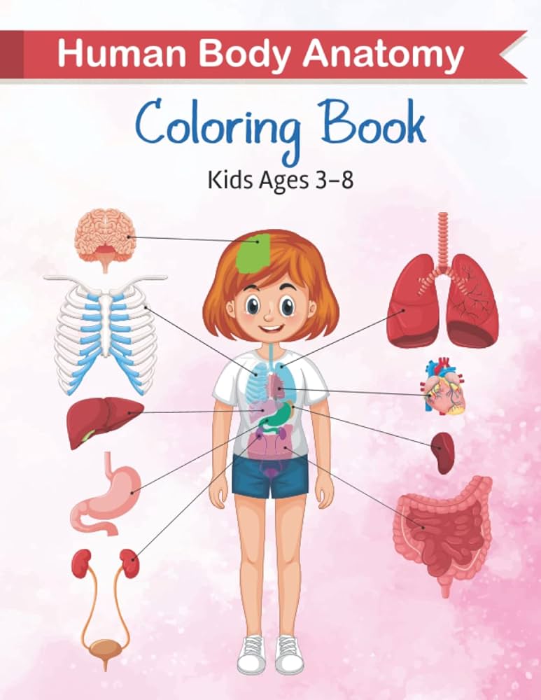 Human body anatomy coloring book for kids ages