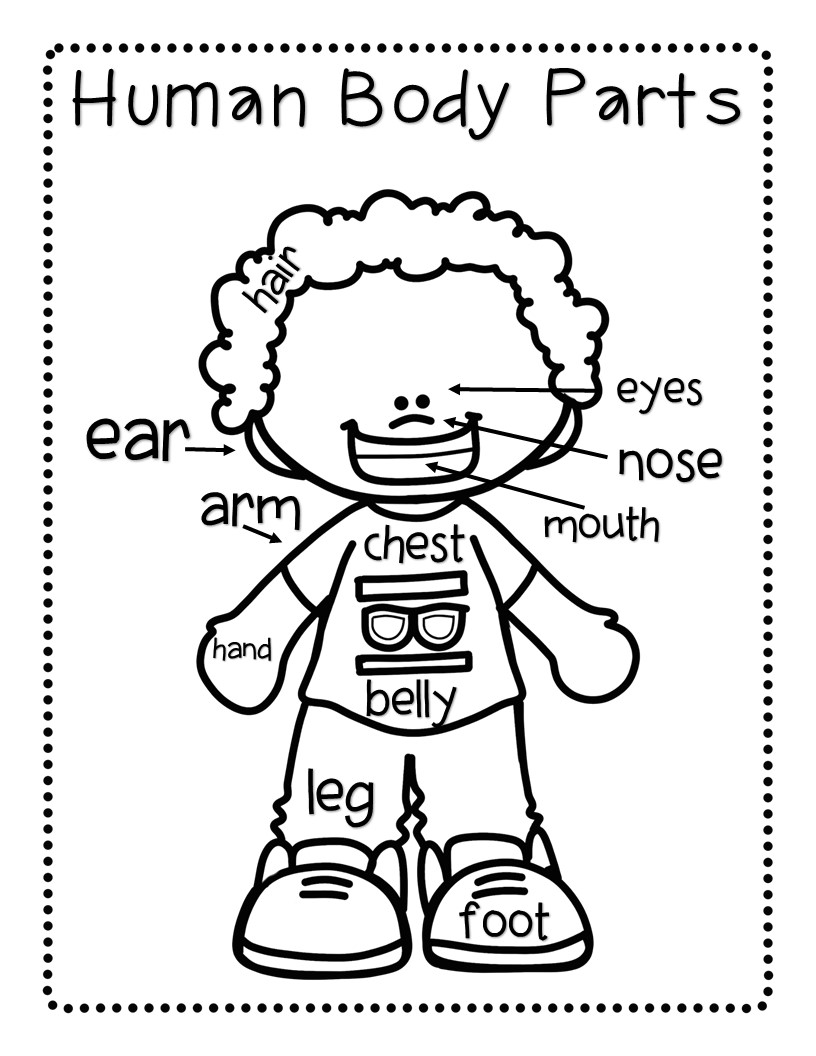 Body parts activities