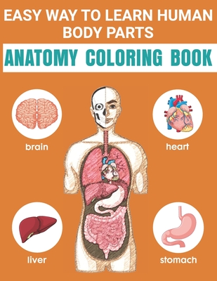 Easy way to learn human body parts anatomy coloring book easy way to learning anatomy for kids over human body coloring book great gift for boys paperback trident booksellers