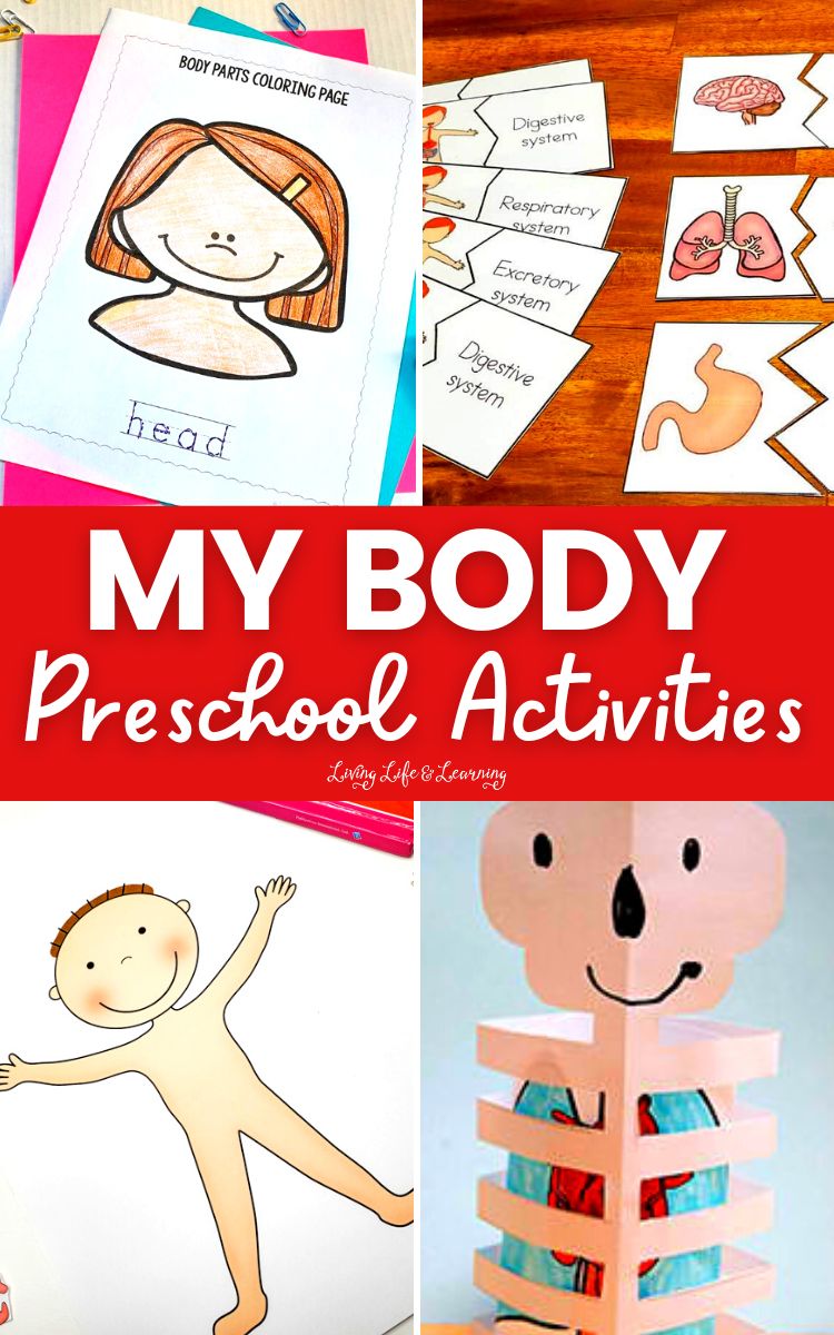 My body preschool activities
