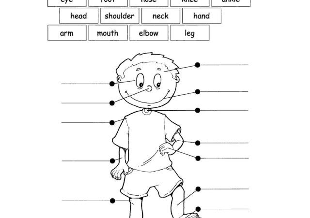 Inspired photo of coloring pages for kindergarten