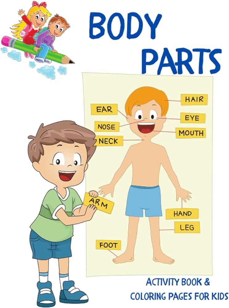Body parts activity book and coloring pages for kids l educational book for kids to learn easily about human body and practise coloring rayer katea dolie books