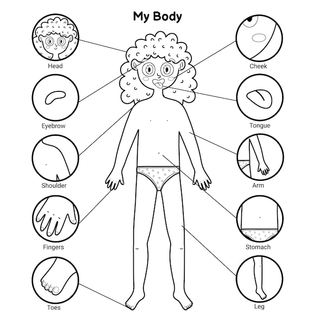 Premium vector my body parts black and white educational poster with a girl learning human body for school and preschool kids coloring page template