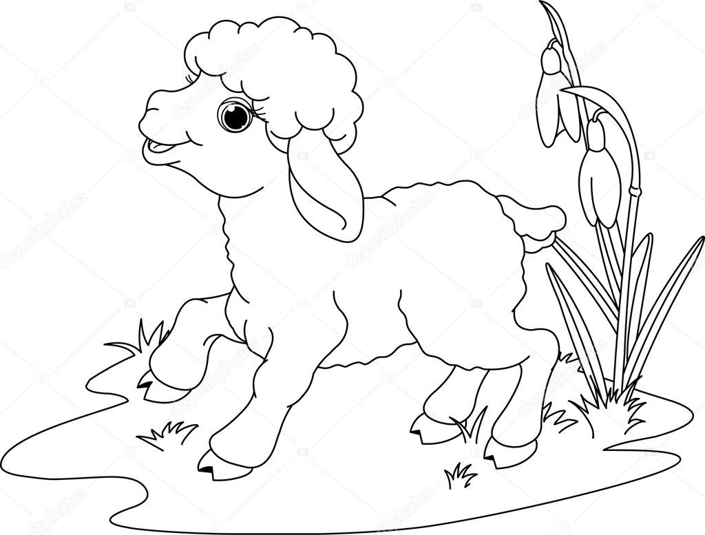 Cordeiro da pãscoa desenho para colorir imagem vetorial de dazdraperma