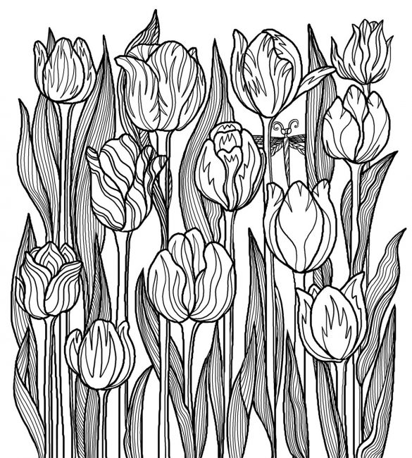 Looking to pass the time try coloring