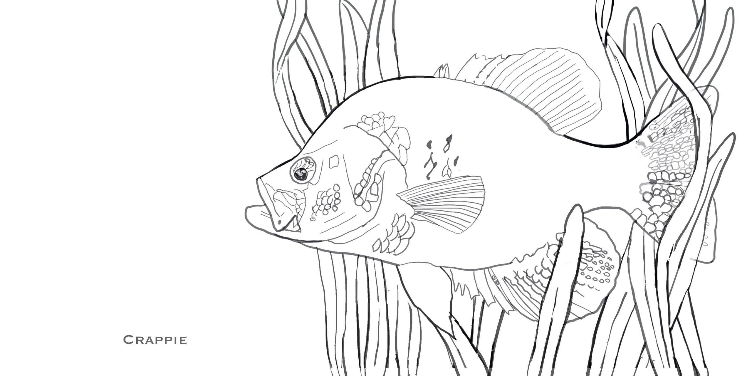 Fishon coloring passport saltwater edition series
