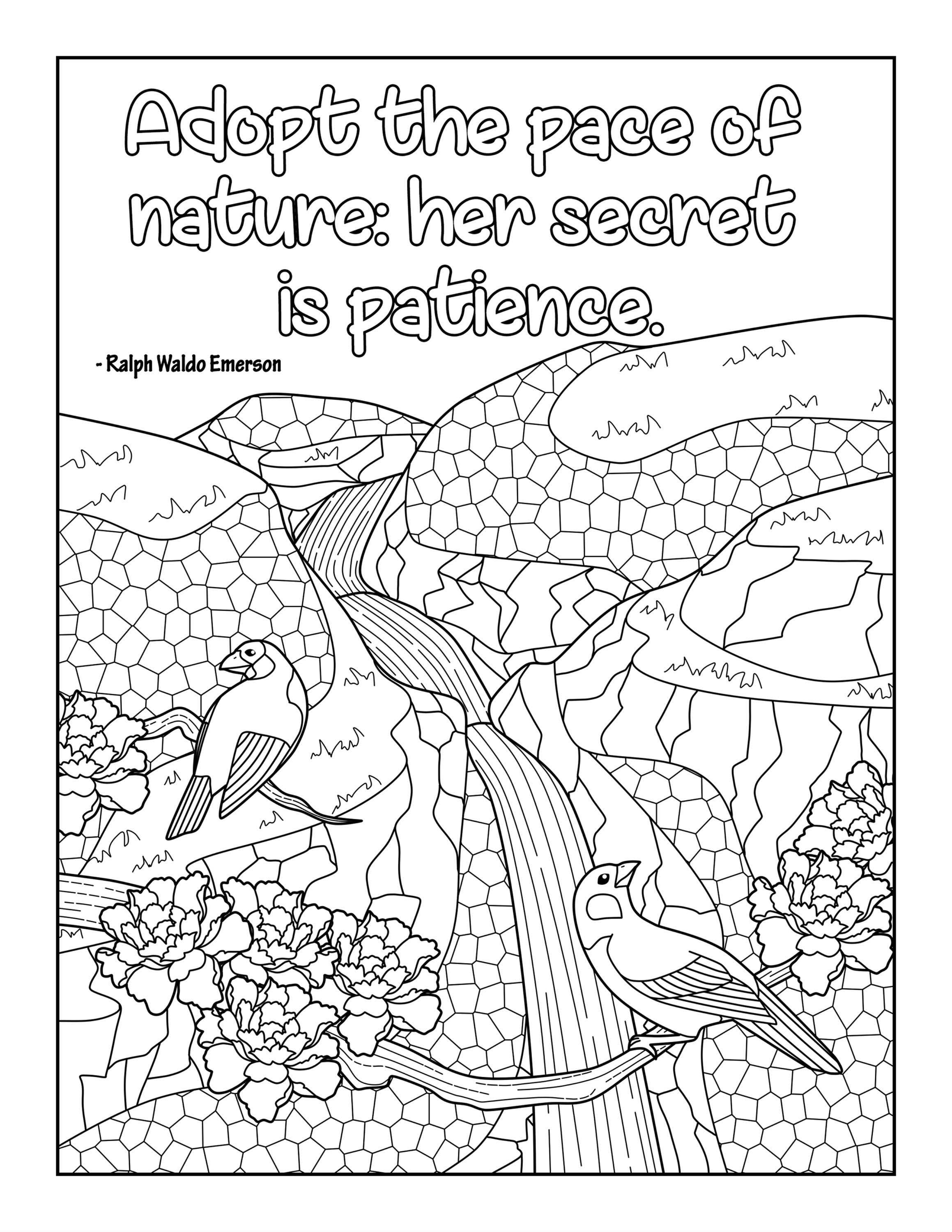Fun quote natures secret is patience quotes themed coloring page digital download pdf nature birds peace