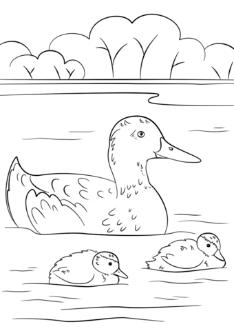 Dibujo de pato con los patitos para colorear dibujos para colorear imprimir gratis