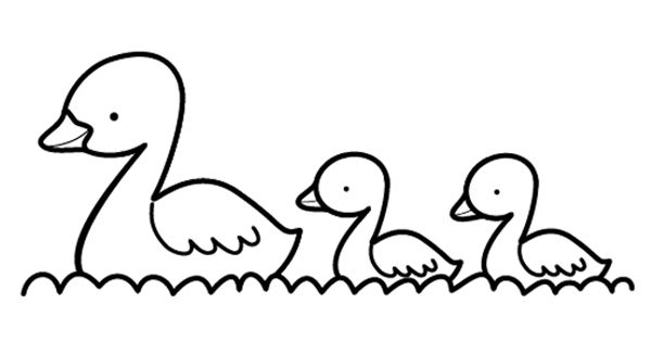 Patitos amarillos dibujo para colorear e imprimir