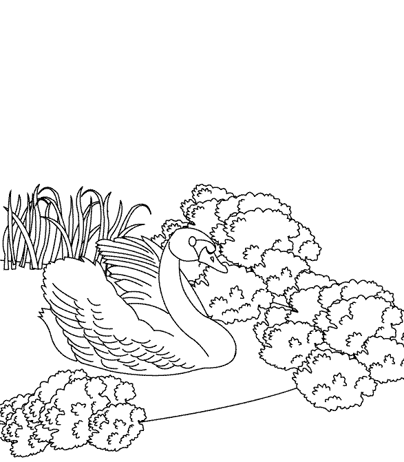 Coloring pages