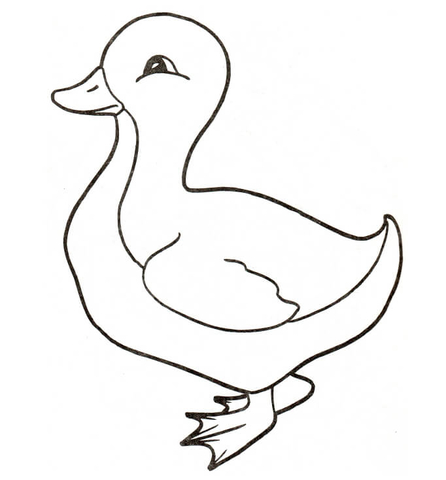 Dibujo de patito para colorear dibujos para colorear imprimir gratis