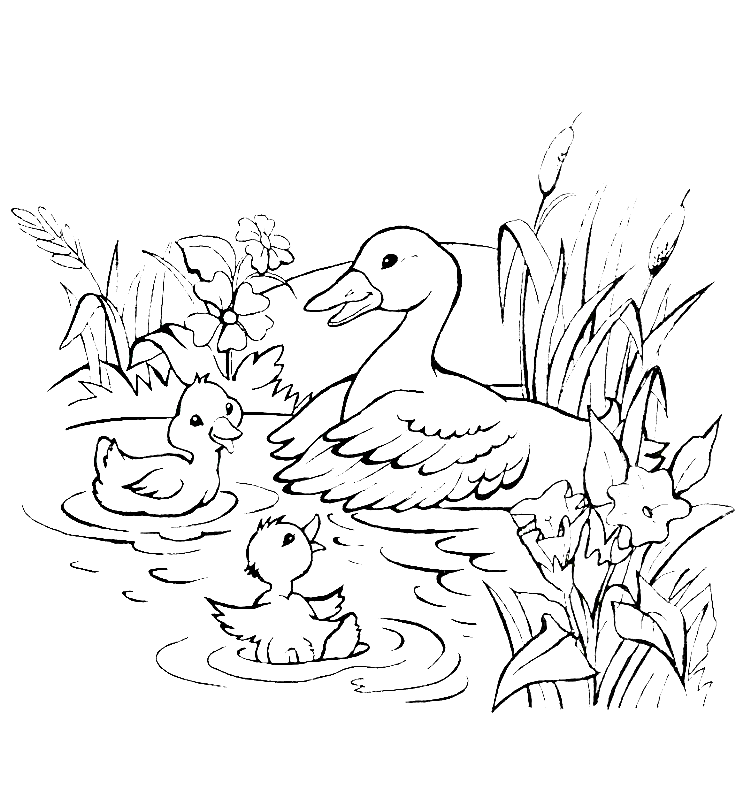 Dibujo de pata y patitos para imprimir