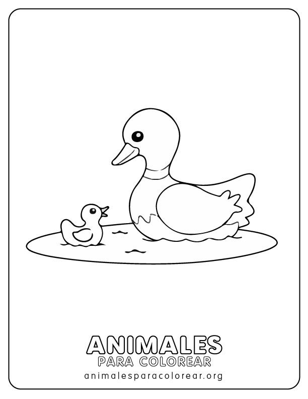 Patos para colorear descargar e imprimir gratis
