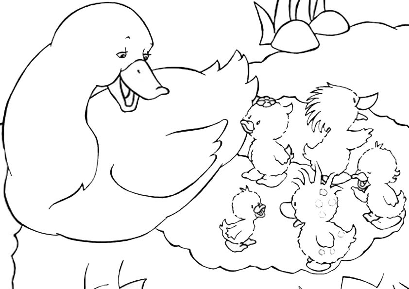 Dibujos para colorear