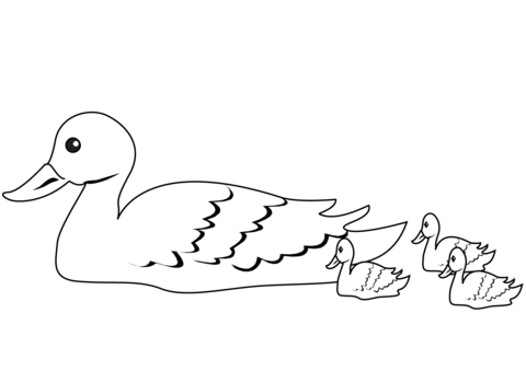 Dibujo de pato con patitos para colorear dibujos para colorear imprimir gratis