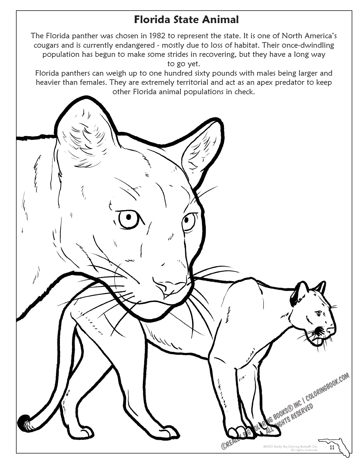 Florida state coloring book x