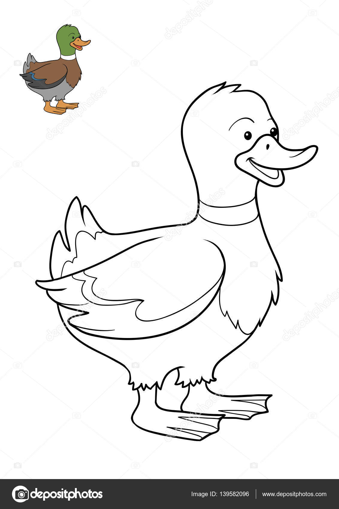 Coloring book duck stock illustration by ksenyasavva