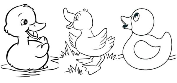 Desenhos de pato para colorir â imprima grãtis colorir desenho de abelha atividades de colorir