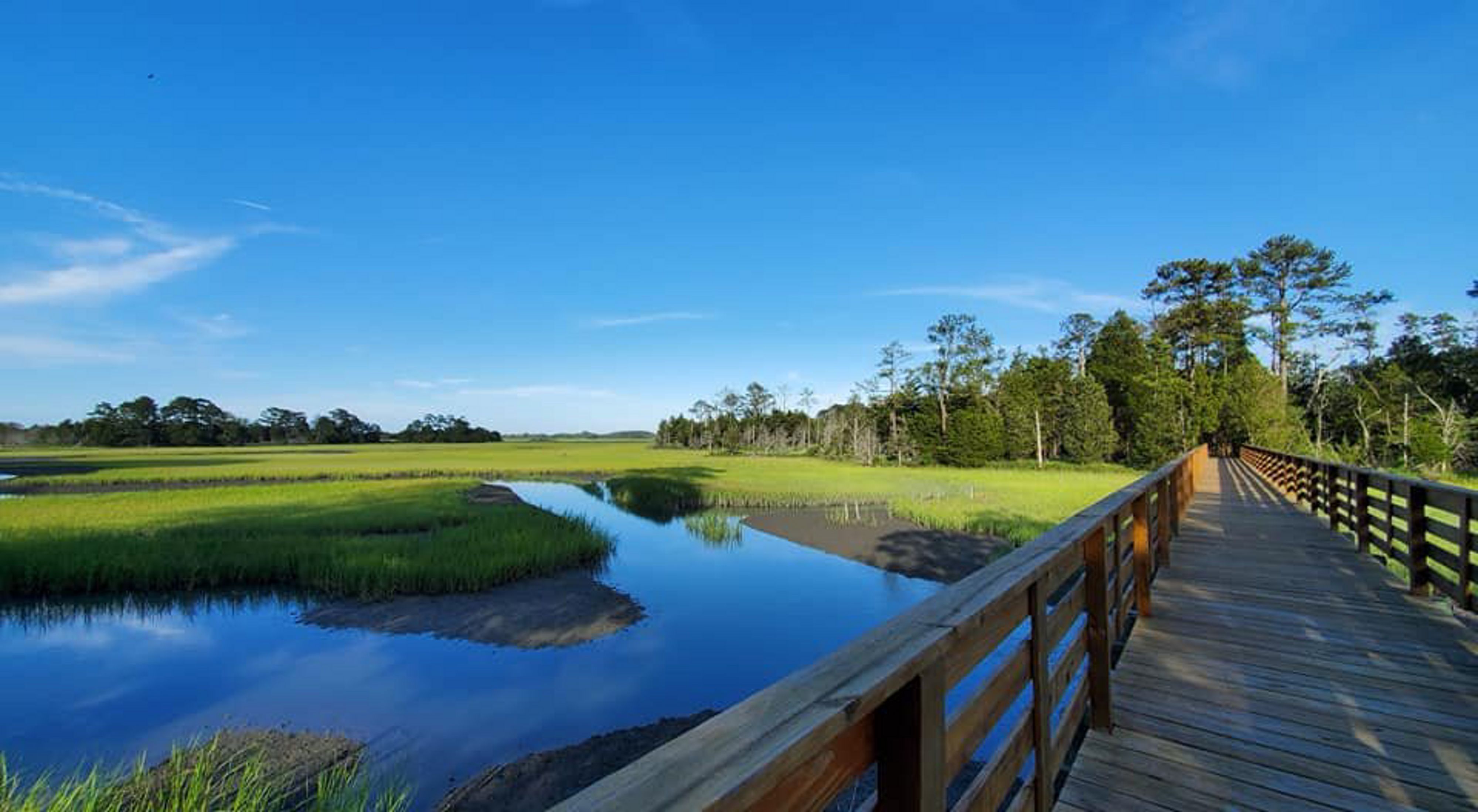 Brownsville preserve the conservancy virginia