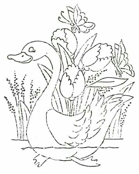 Pato bird sketch animal skeletons art