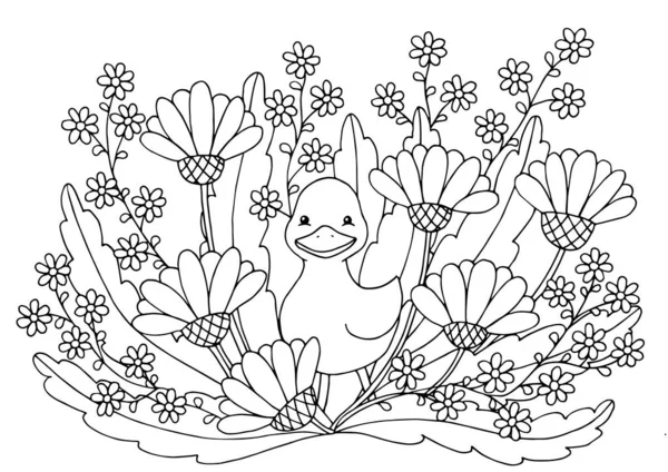 Duck coloring page vector images