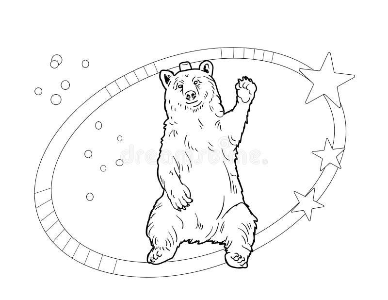 Bear coloring pages children stock illustrations â bear coloring pages children stock illustrations vectors clipart