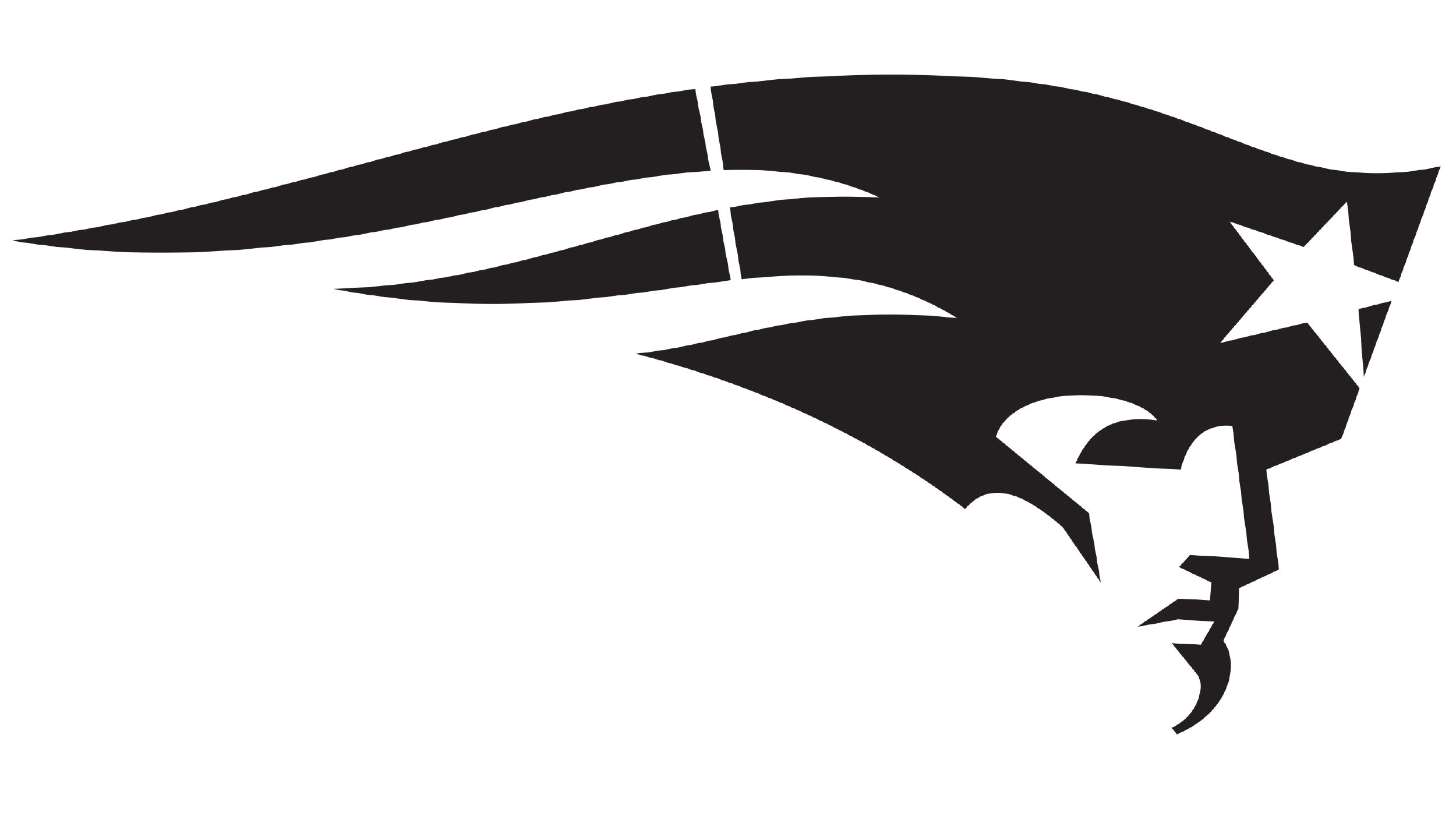 Official website of the new england