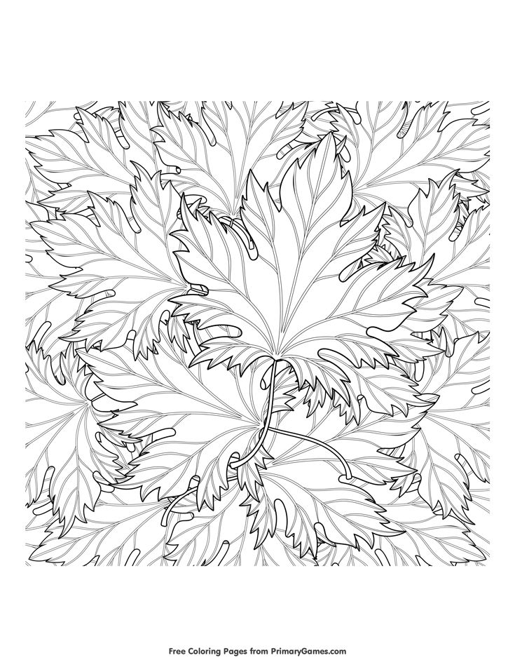 Zentangle autumn leaves coloring page â free printable ebook fall coloring pages fall leaves coloring pages coloring pages