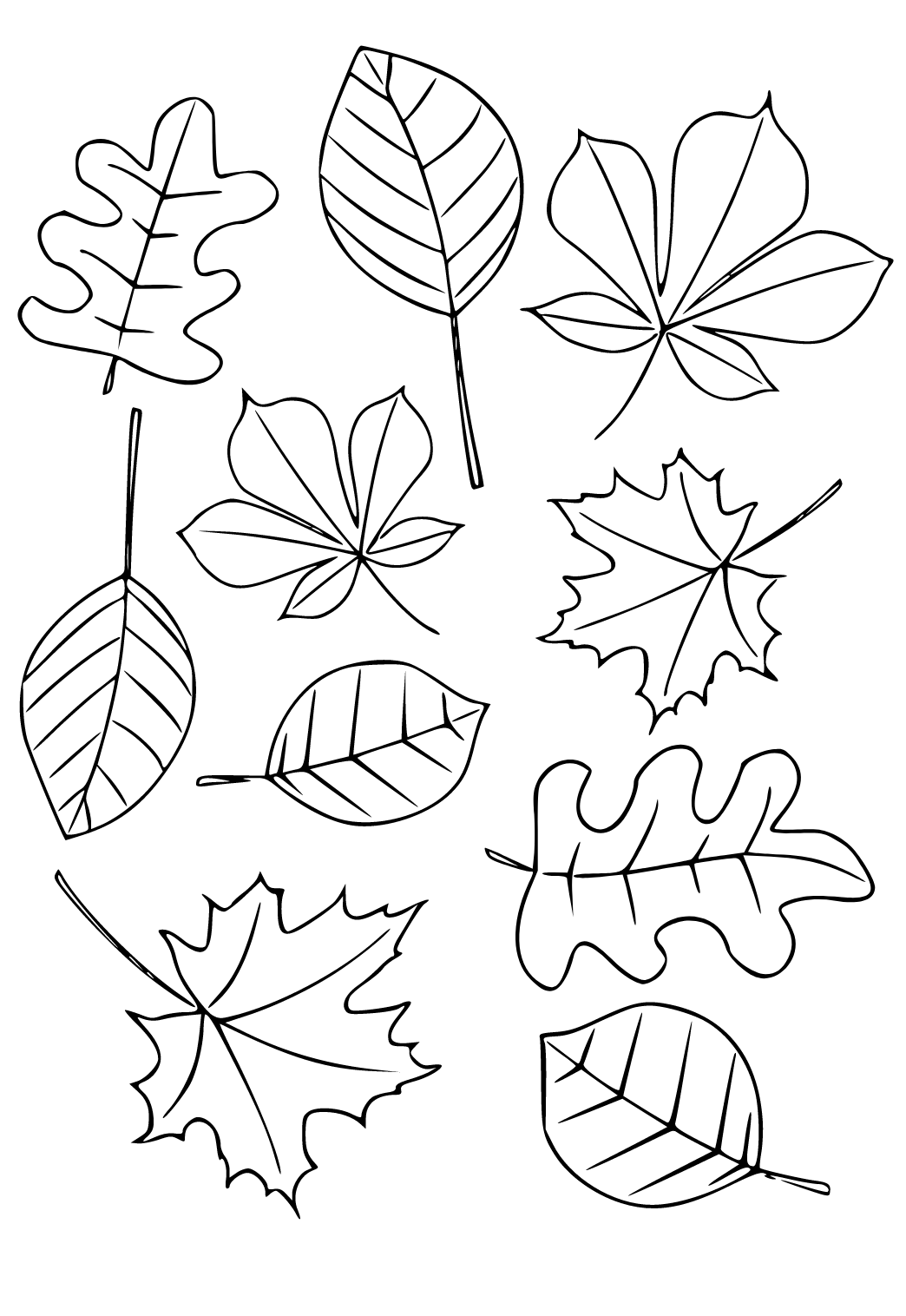 Dibujo e imagen hojas diferente para colorear y imprimir gratis para adultos y niãos