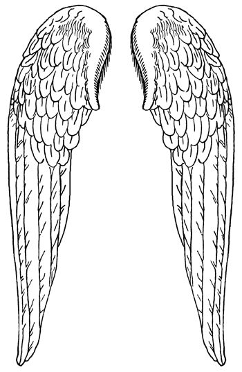 Angel wings angel wings images winged stencil wings