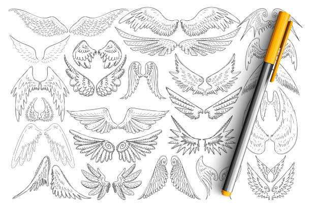 Bird wings patterns doodle set stock illustration