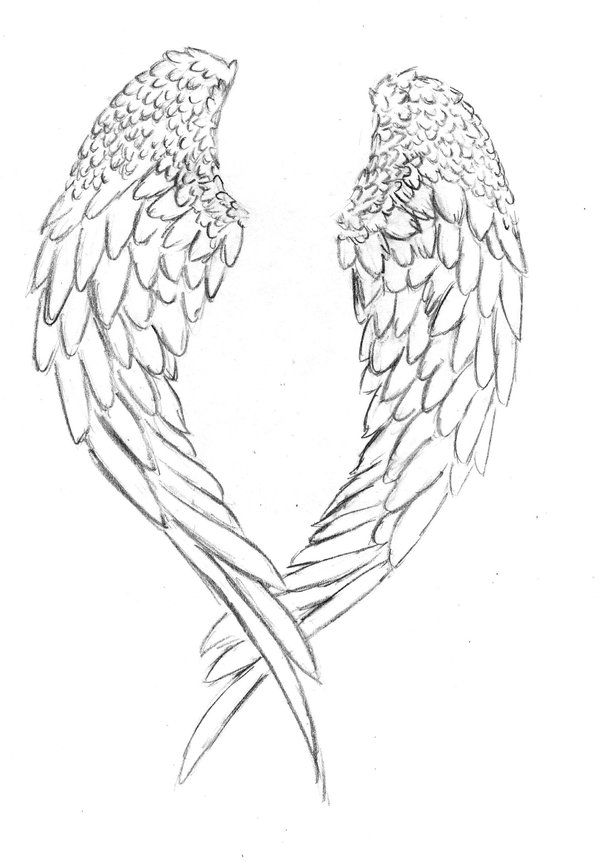 Angel wings by prettylittlefools on deviantart wings tattoo wing tattoo designs angel wing drawing tattoo