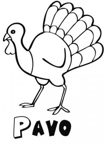 Dibujo de pavo para imprimir y colorear con los niãos