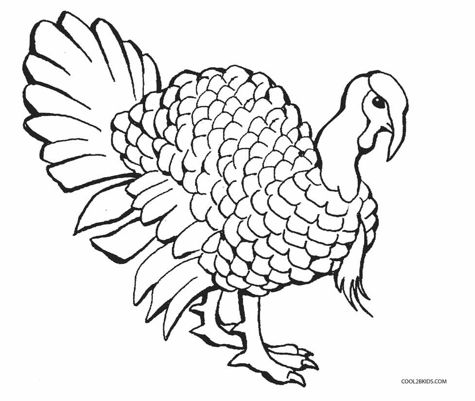 Dibujos de pavos para colorear