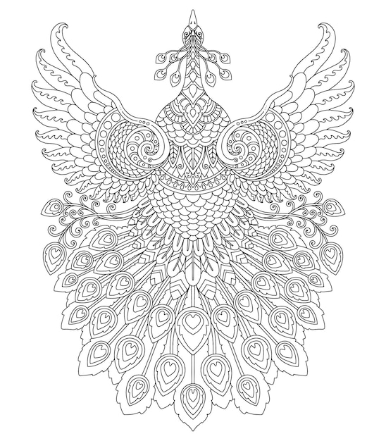 Diseão de mandala de pavo real para imprimir pãgina para colorear vector premium