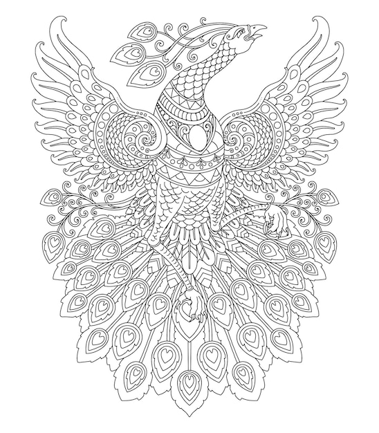 Diseão de mandala de pavo real para imprimir pãgina para colorear vector premium