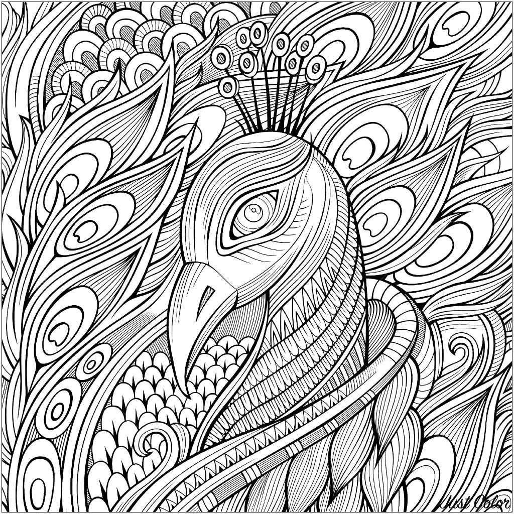 Pin on coloring pages