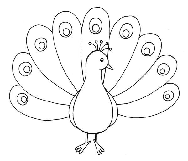 Recursos y actividad para educaciãn infantil dibujos para colorear pavo real pavo real para colorear pavoreal dibujo pavo dibujo