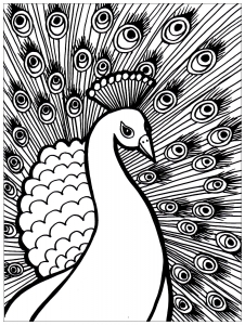 Dibujos para colorear de pavos reales para niãos para imprimir gratis