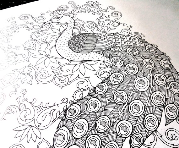 Pavo real ãrabe para colorear en card