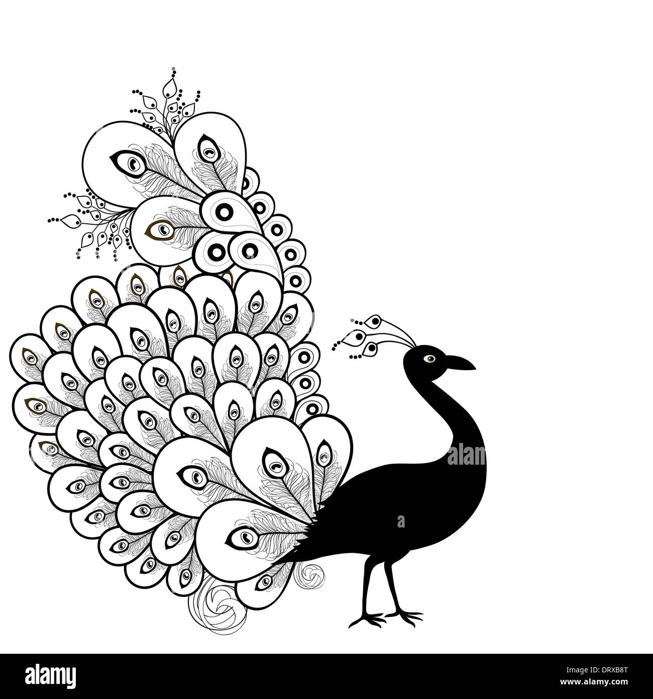 White peacock painting hi