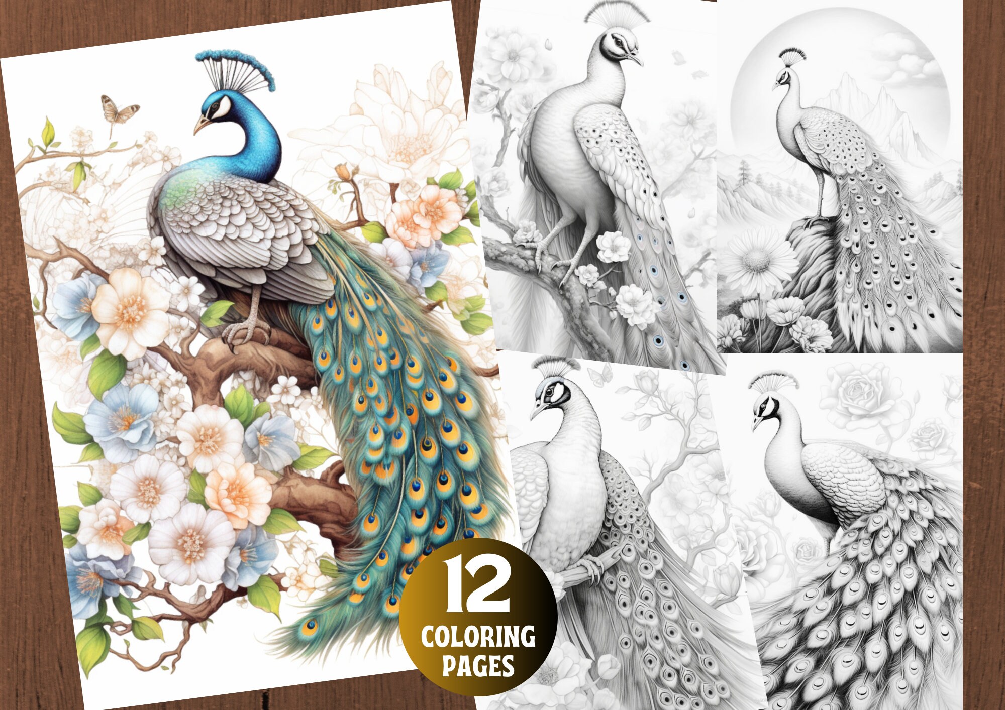 Peacock coloring