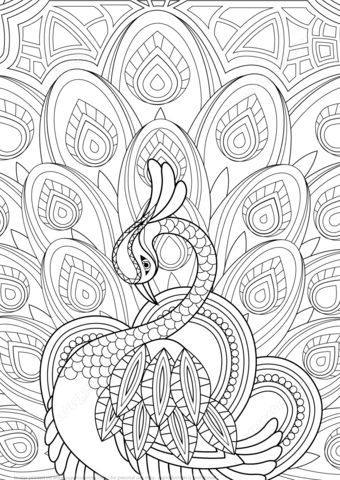 Zentangle de pavo real con adornos dibujo pa colore categorãâ pãginas pa colore pa adultos gratis mandalas animales pãginas pa colore de animales