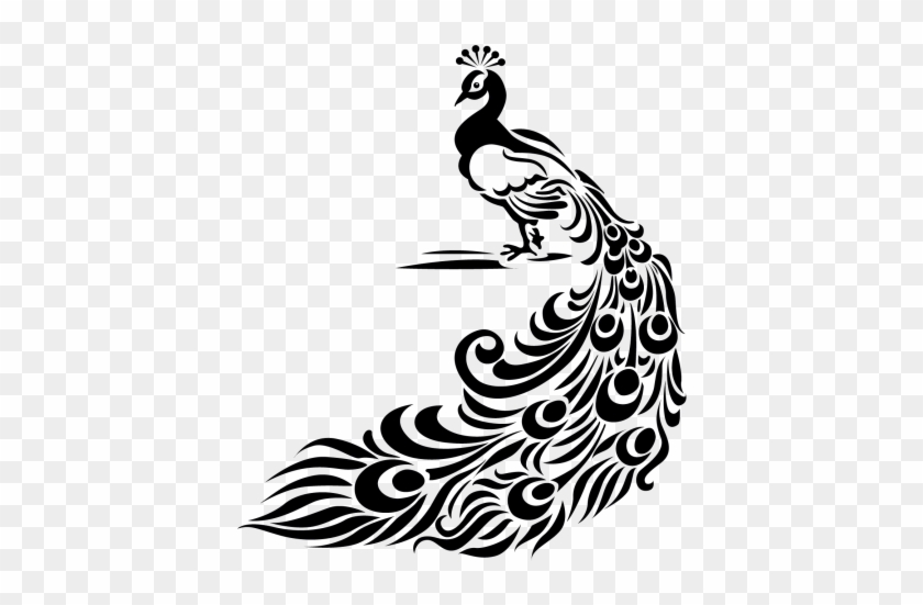 Transparent download pavo real dibujo buscar con google